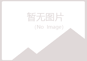 肇庆白山律师有限公司